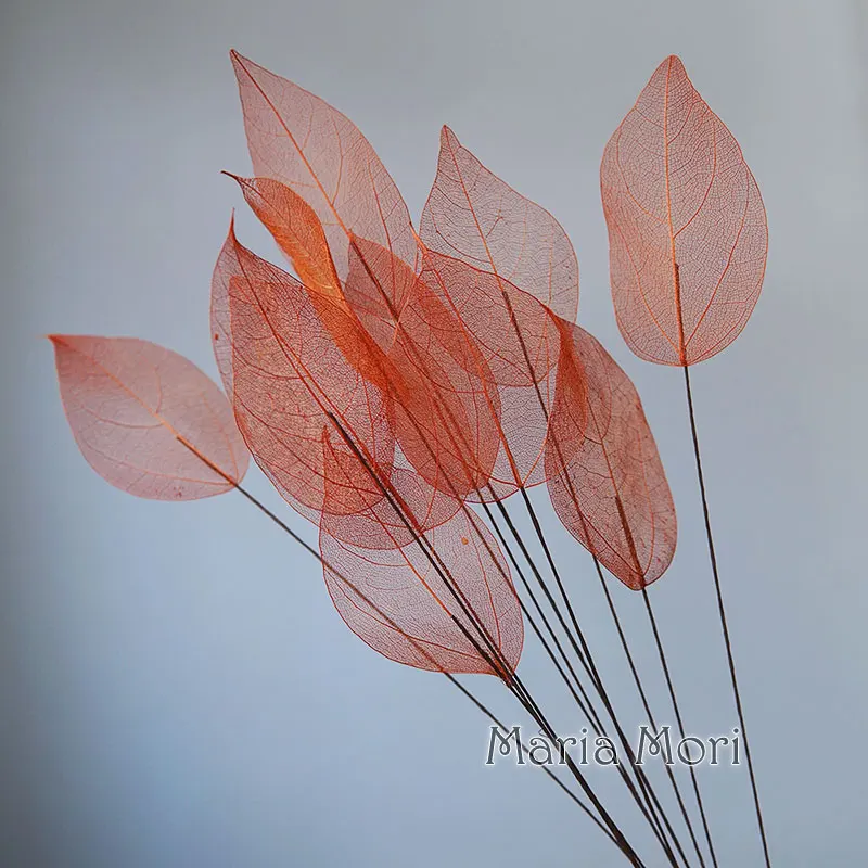 Lucent Leaf Vein Decoration Stems - Image 16