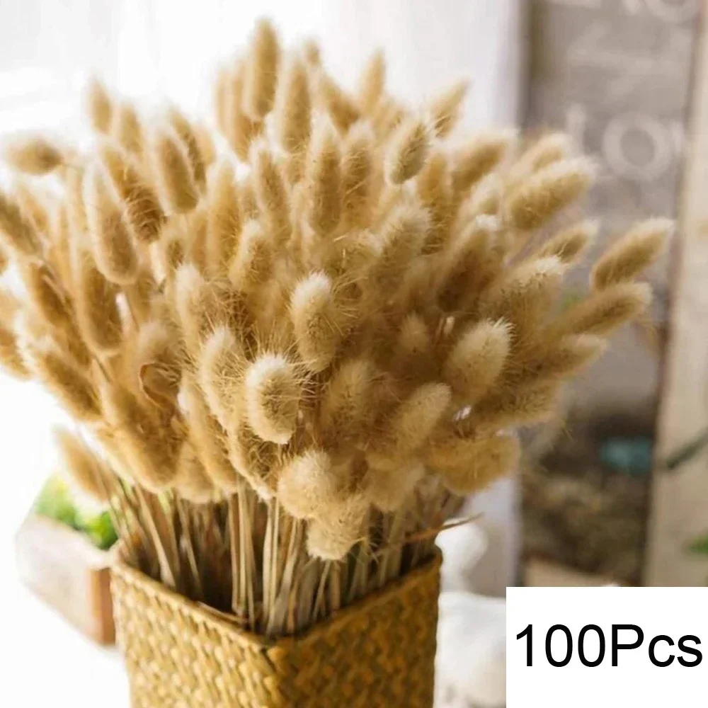 Natural Dried Pampas Bouquet - Image 6